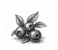 red fruit