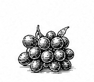 blackberry