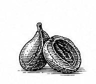 tropical fruit