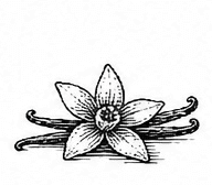 vanilla