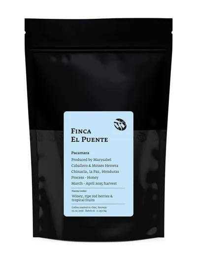 Finca El Puente Pacamara Honey Process