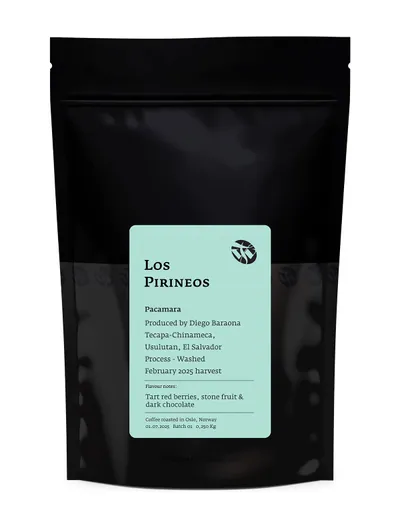 Los Pirineos Pacamara
